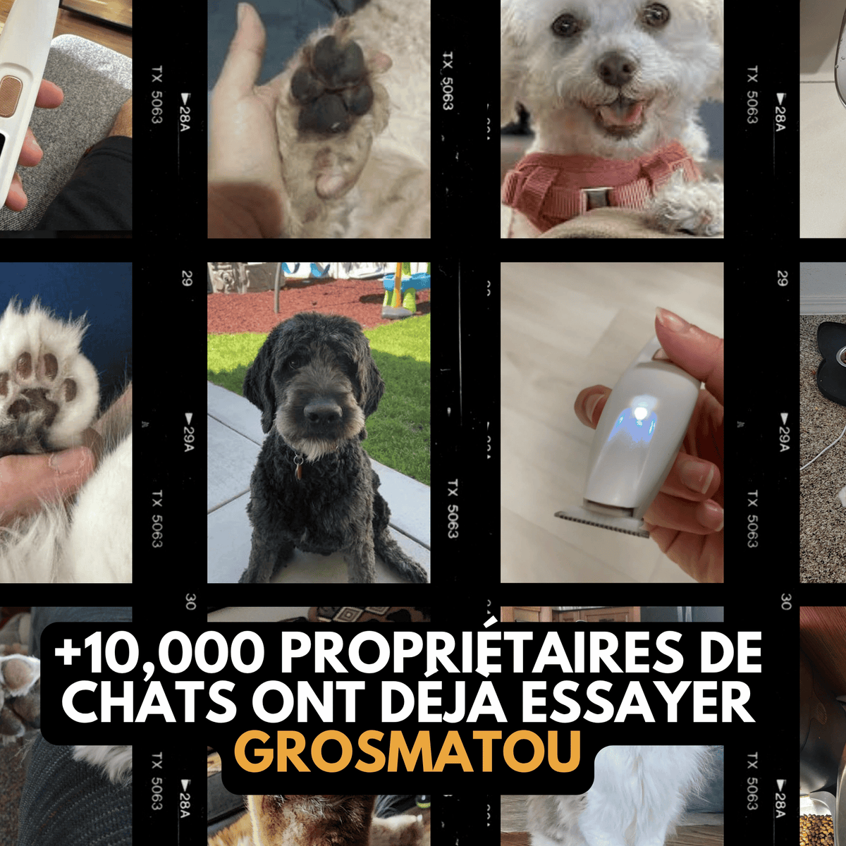 Tondeuse Chien Silencieuse Sans Fil GrosMatou