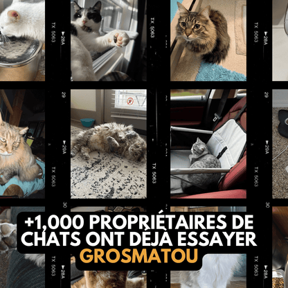 Le Siège Confort GrosMatou — Voyagez en toute sécurité et sans stress