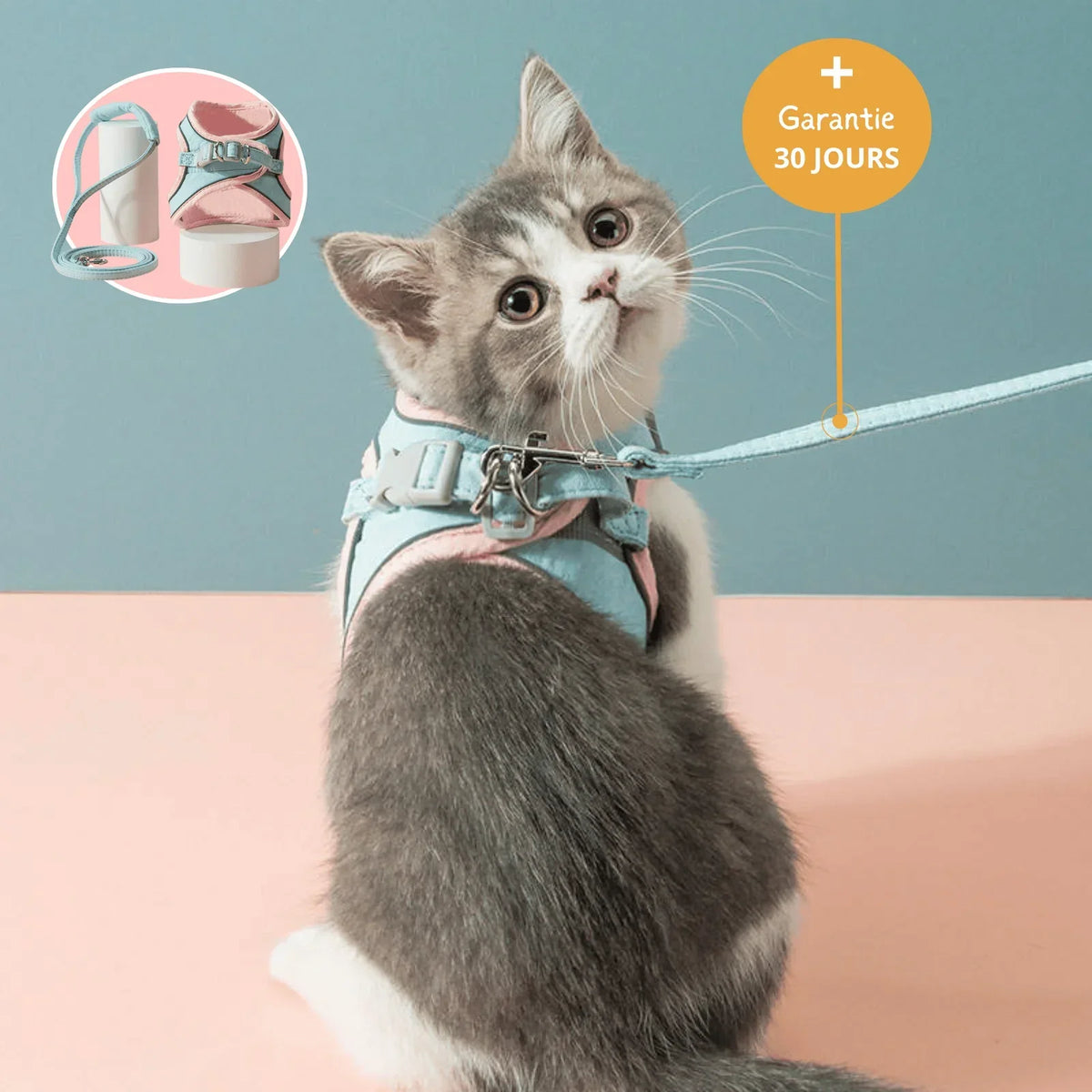 Harnais Anti-Fugue & Laisse — Pour Chat d'Intérieur & Aventurier