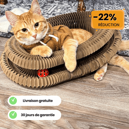 Le Griffoir GrosMatou