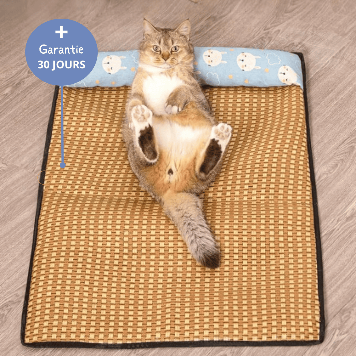 Tapis Rafraîchissant Chat — Confort Été Sans Gel & Antidérapant