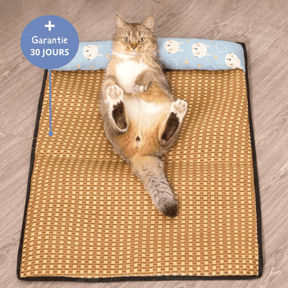 Tapis Rafraîchissant Chat — Confort Été Sans Gel & Antidérapant