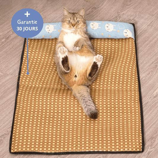 Tapis Rafraîchissant Chat — Confort Été Sans Gel & Antidérapant
