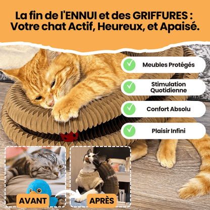 Le Griffoir GrosMatou