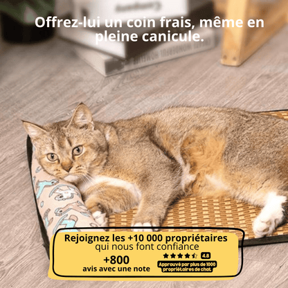 Tapis Rafraîchissant Chat — Confort Été Sans Gel & Antidérapant
