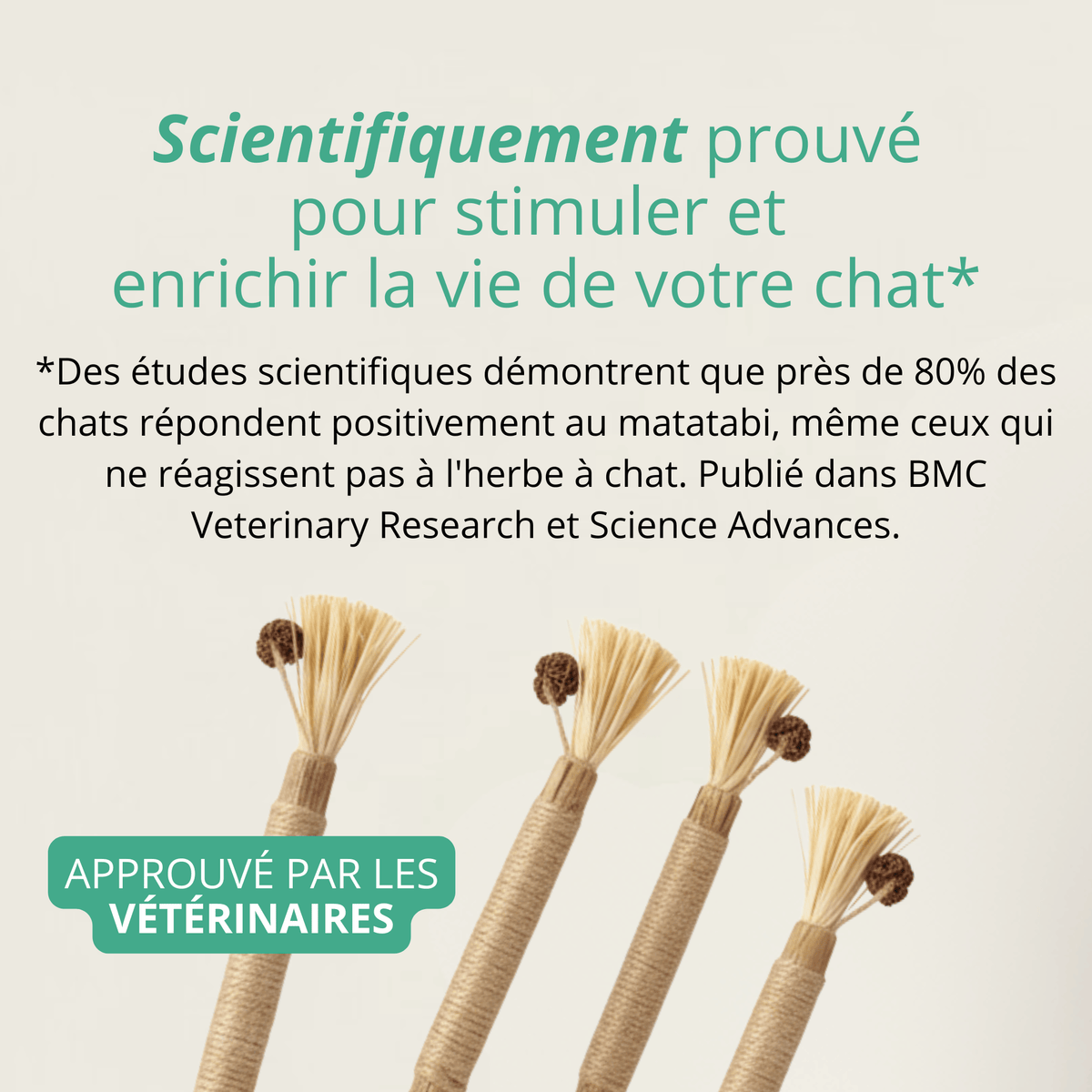 Bâtonnet GrosMatou — Le soin dentaire 100% naturel pour votre chat