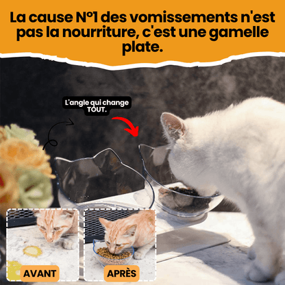 Royal Matou — La fin des vomis post-repas.