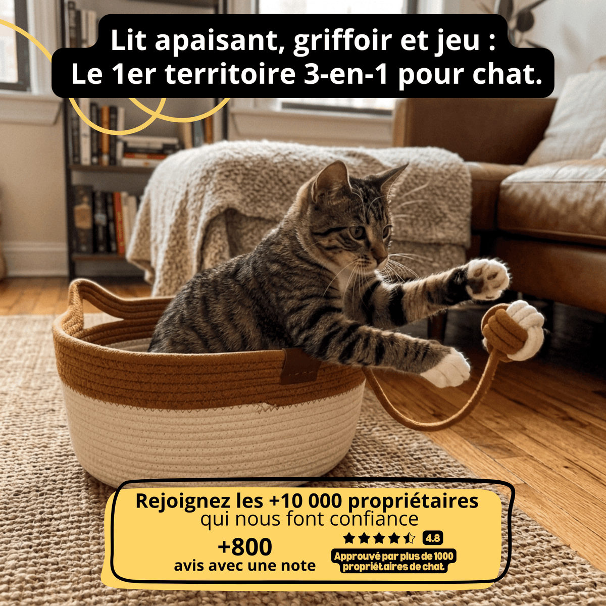 Le Nid du Matou — Lit apaisant et griffoir naturel