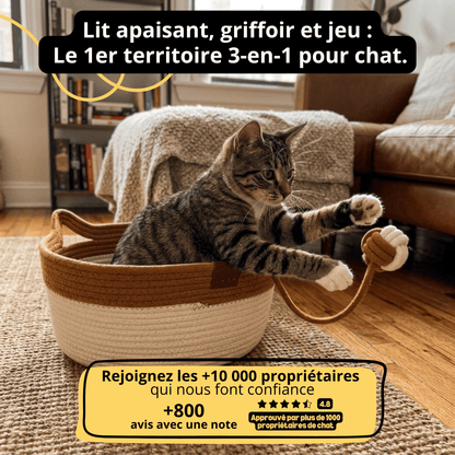 Le Nid du Matou — Lit apaisant et griffoir naturel