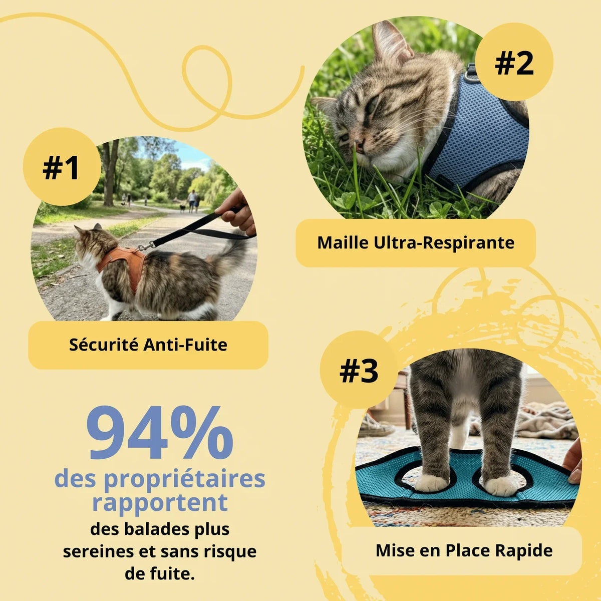 Harnais Anti-Fugue & Laisse — Pour Chat d'Intérieur & Aventurier
