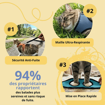 Harnais Anti-Fugue & Laisse — Pour Chat d'Intérieur & Aventurier