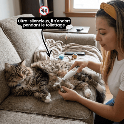 Tondeuse de toilettage GrosMatou — Douceur & Sécurité