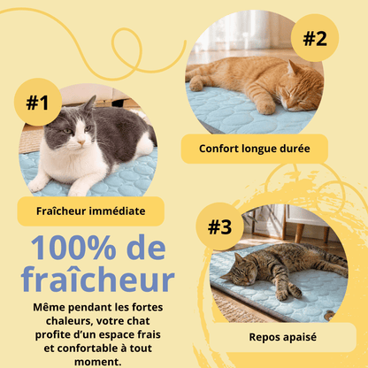 Tapis Rafraîchissant Chat — Confort Été Sans Gel & Antidérapant