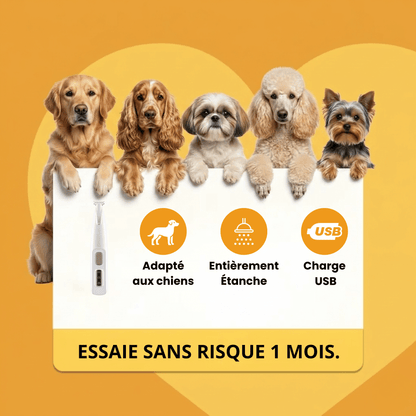 Tondeuse Chien Silencieuse Sans Fil GrosMatou