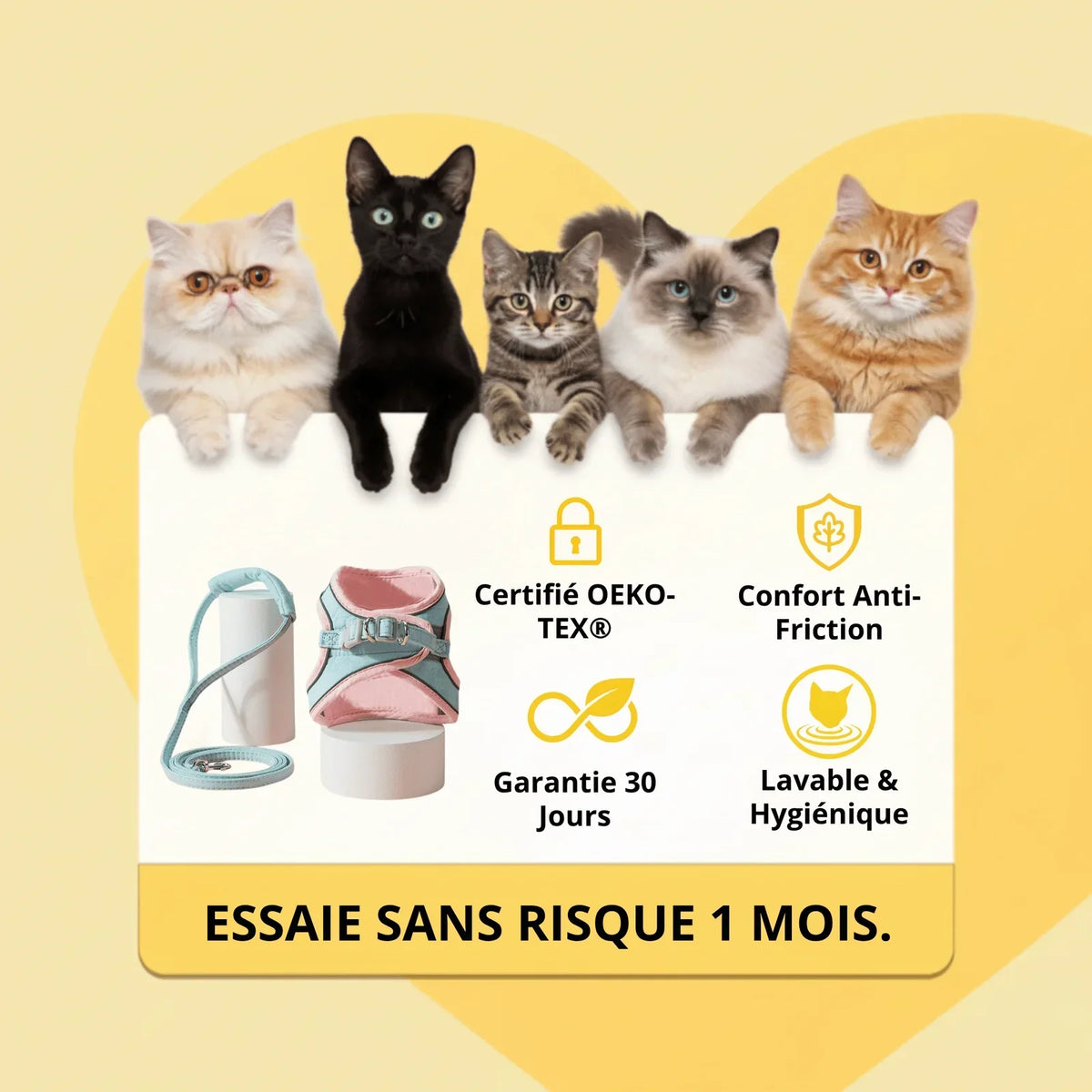 Harnais Anti-Fugue & Laisse — Pour Chat d'Intérieur & Aventurier