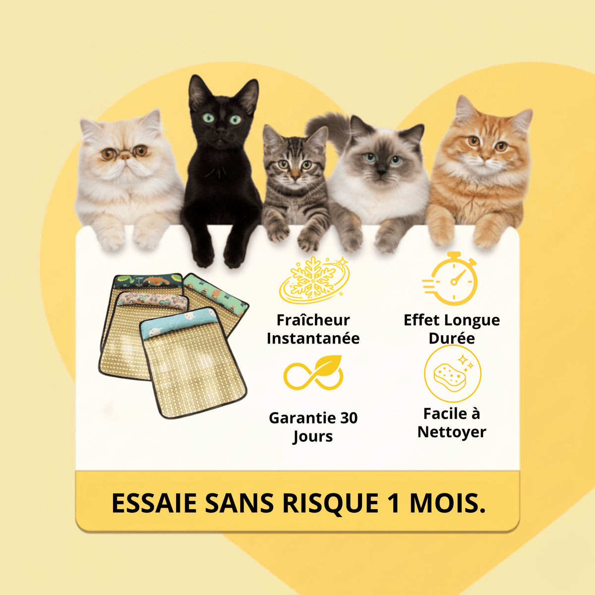 Tapis Rafraîchissant Chat — Confort Été Sans Gel & Antidérapant