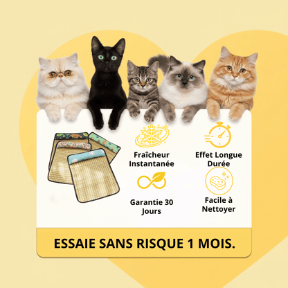 Tapis Rafraîchissant Chat — Confort Été Sans Gel & Antidérapant