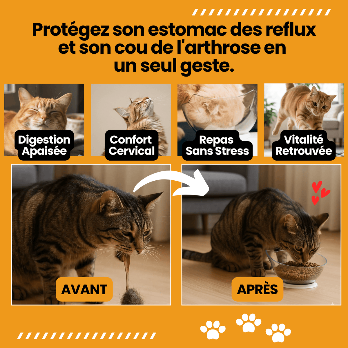 Royal Matou — La fin des vomis post-repas.