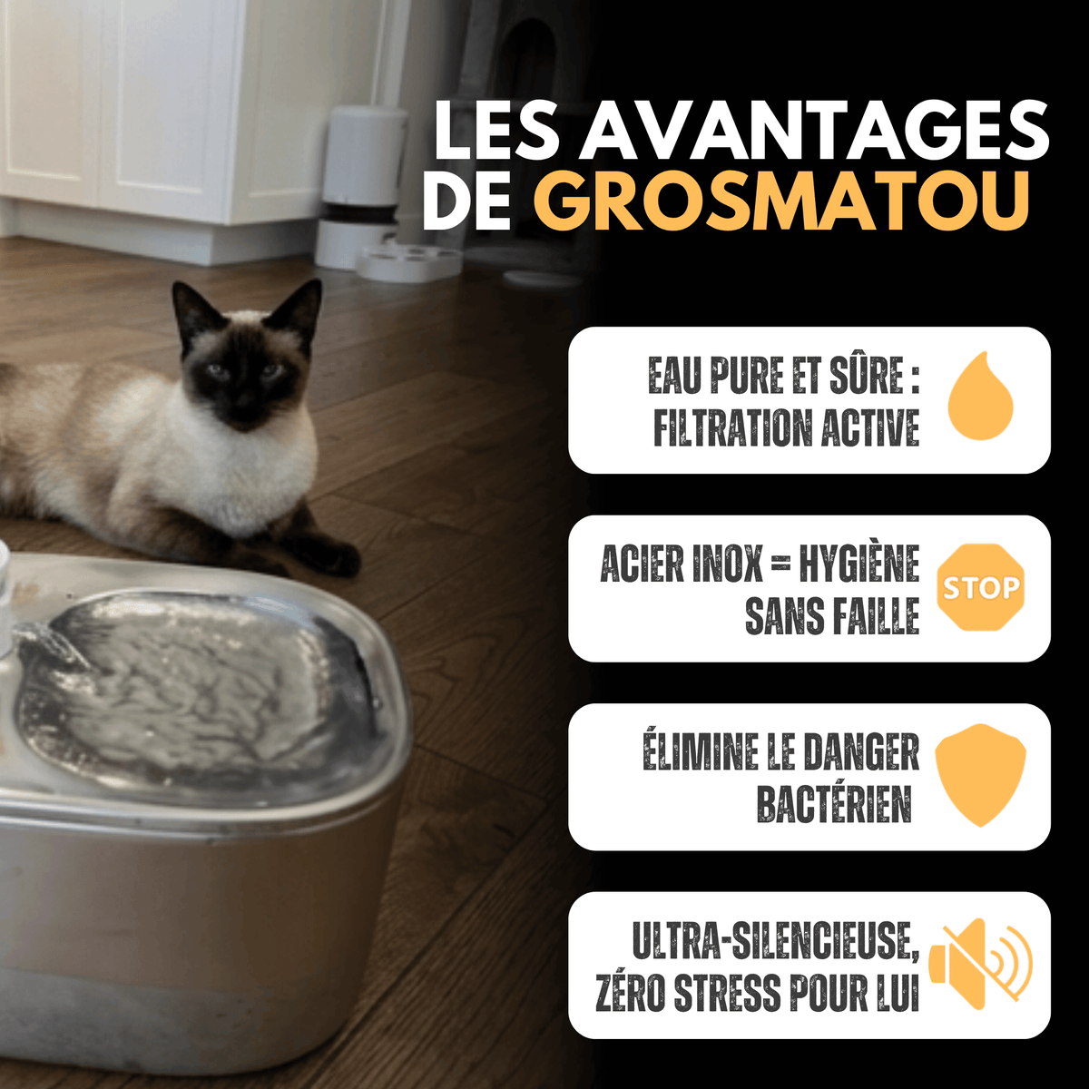 Fontaine Sans Fil 4L Acier Inox Premium