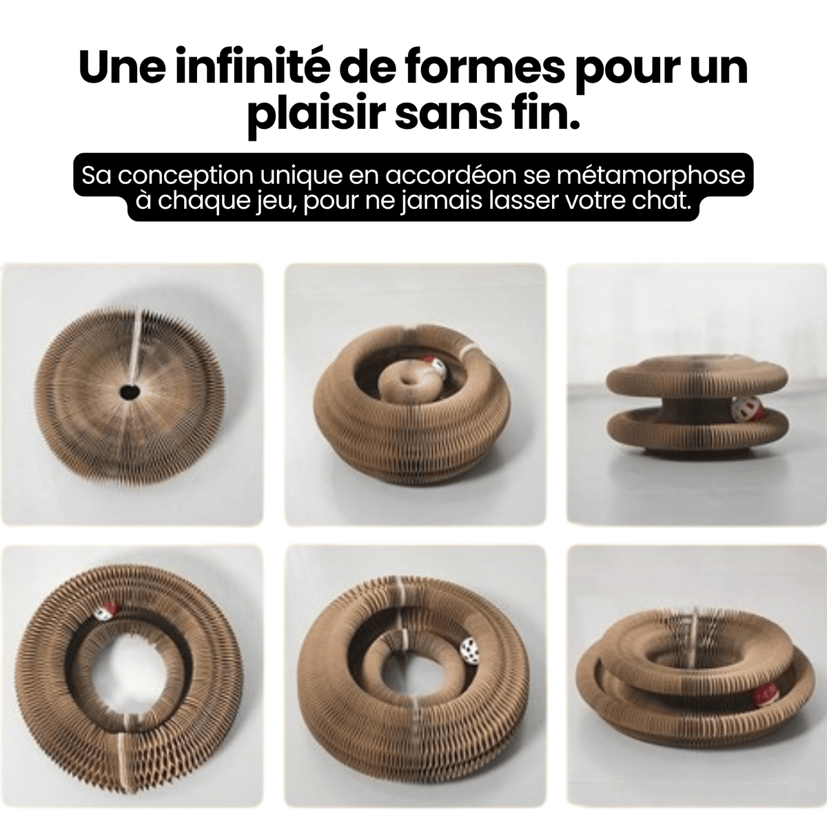 Le Griffoir GrosMatou
