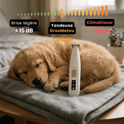 Tondeuse Chien Silencieuse Sans Fil GrosMatou