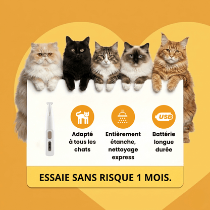 Tondeuse de toilettage GrosMatou — Douceur & Sécurité