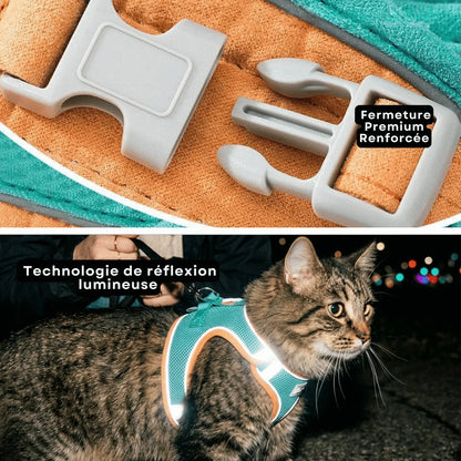 Harnais Anti-Fugue & Laisse — Pour Chat d'Intérieur & Aventurier