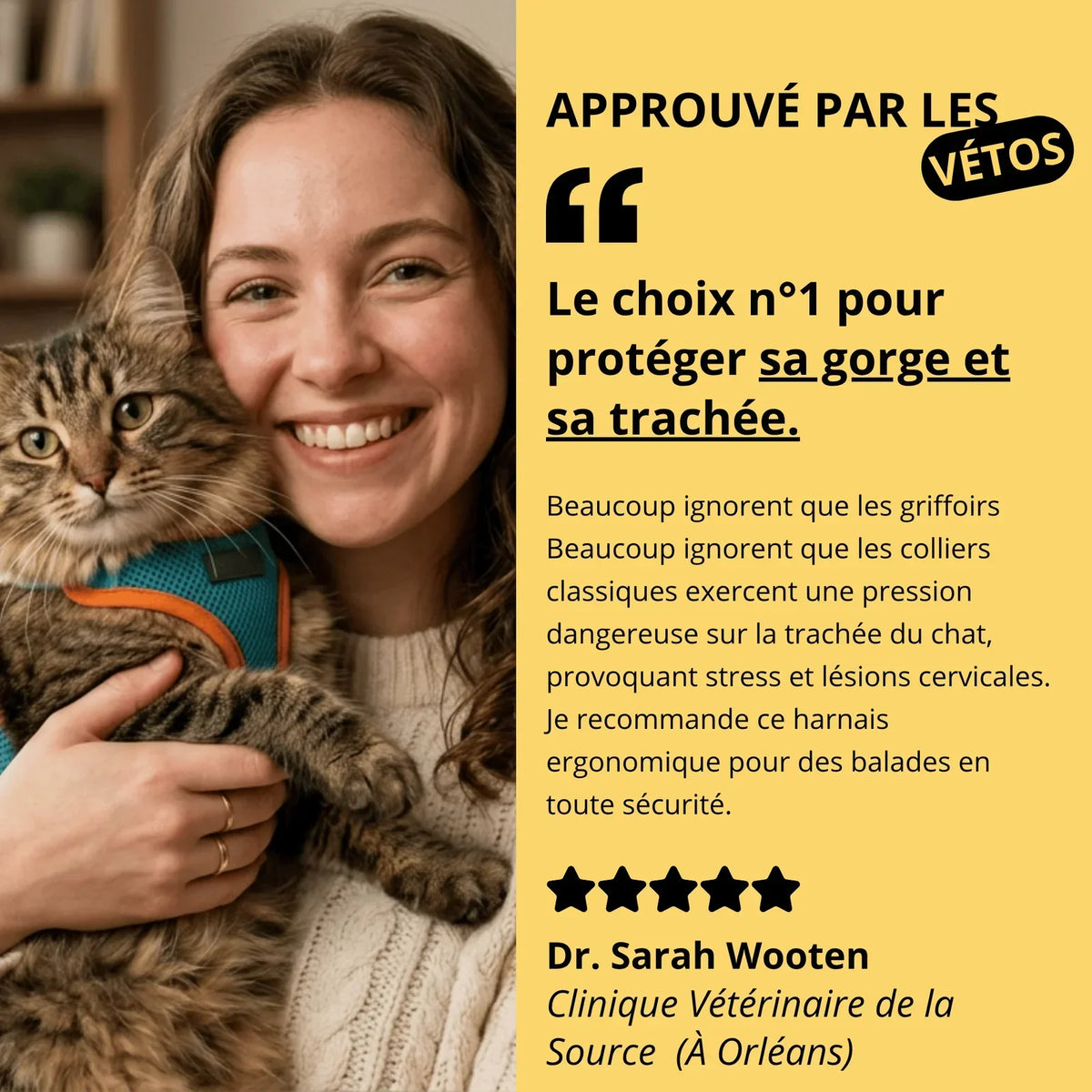 Harnais Anti-Fugue & Laisse — Pour Chat d'Intérieur & Aventurier