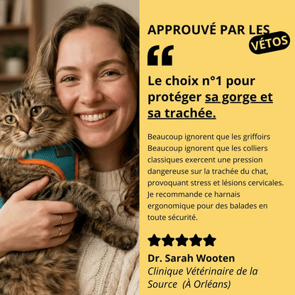 Harnais Anti-Fugue & Laisse — Pour Chat d'Intérieur & Aventurier