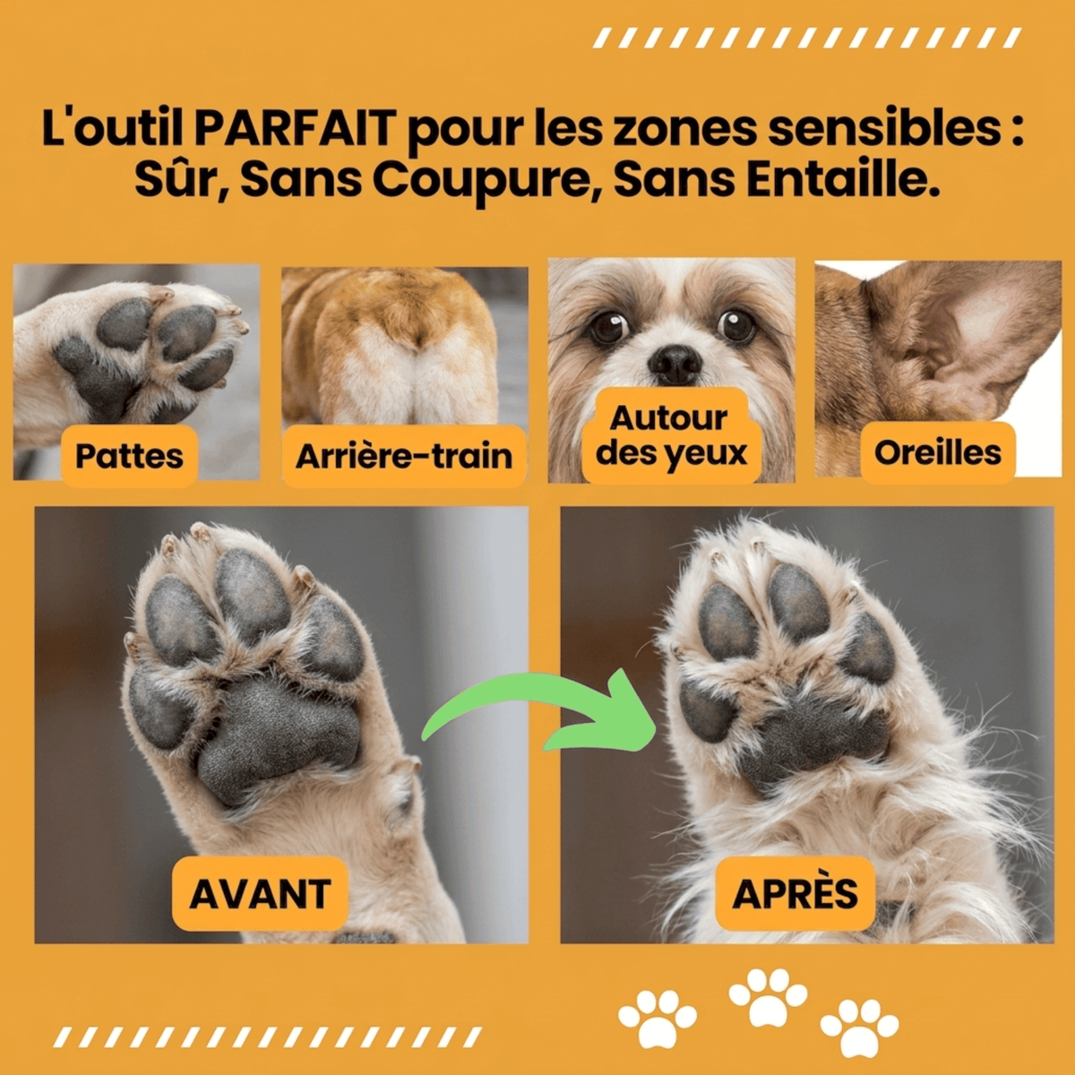 Tondeuse Chien Silencieuse Sans Fil GrosMatou
