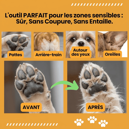 Tondeuse Chien Silencieuse Sans Fil GrosMatou