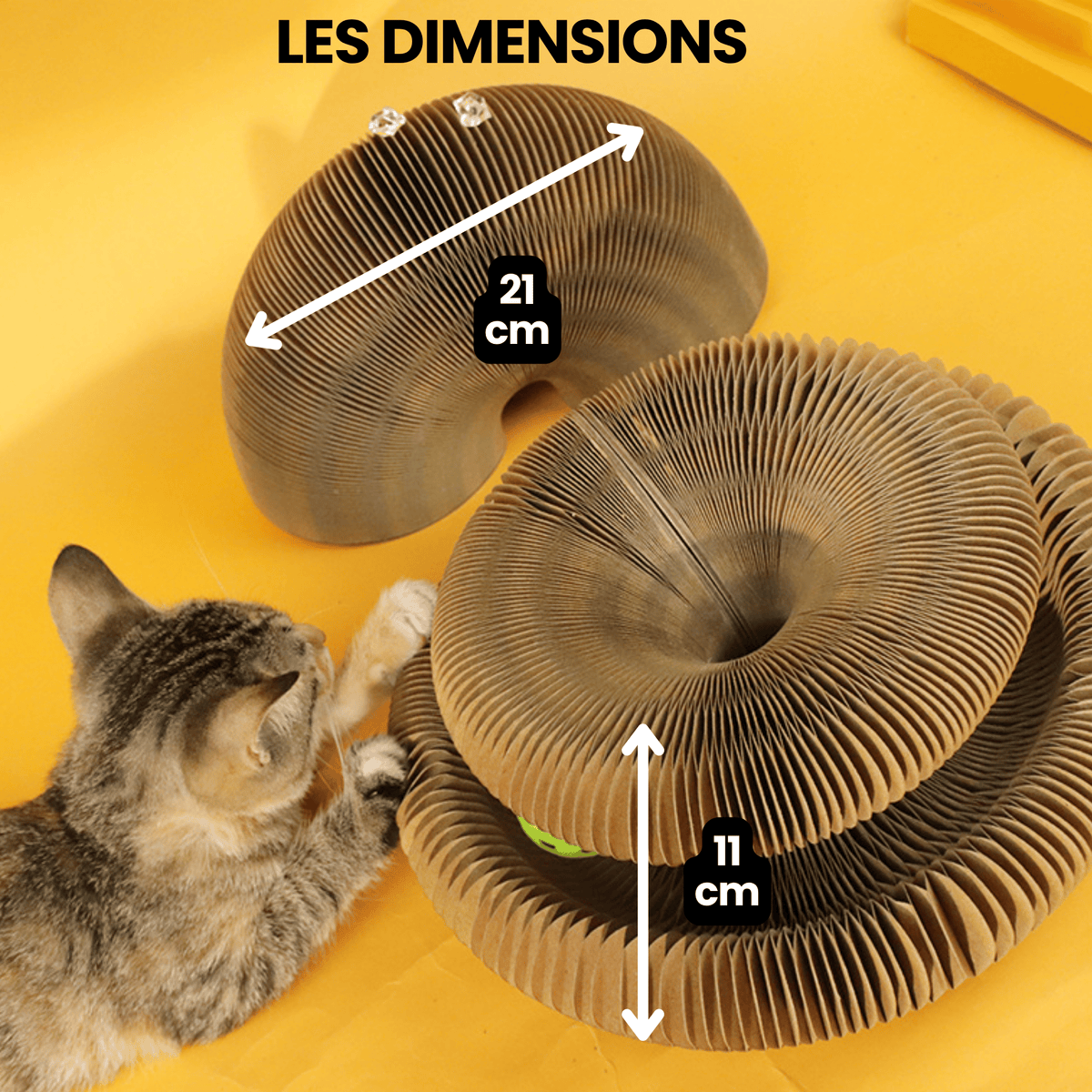 Le Griffoir GrosMatou