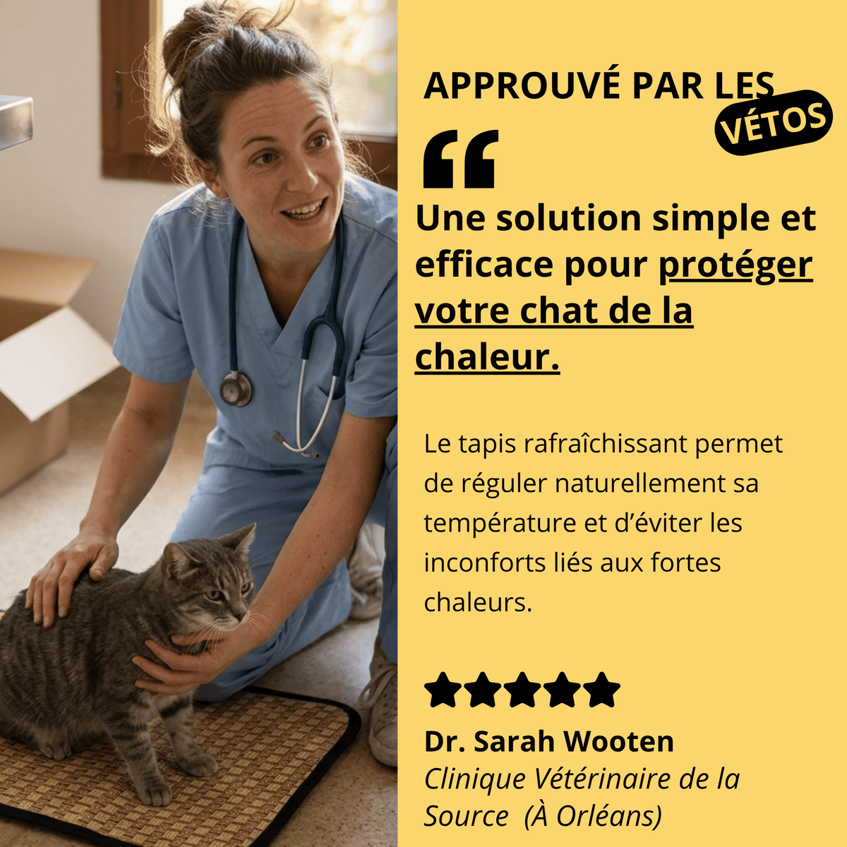 Tapis Rafraîchissant Chat — Confort Été Sans Gel & Antidérapant