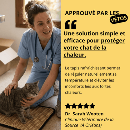 Tapis Rafraîchissant Chat — Confort Été Sans Gel & Antidérapant
