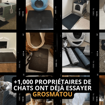 Tapis de Litière Anti-Éclaboussures pour Chat - Gardez vos sols propres !
