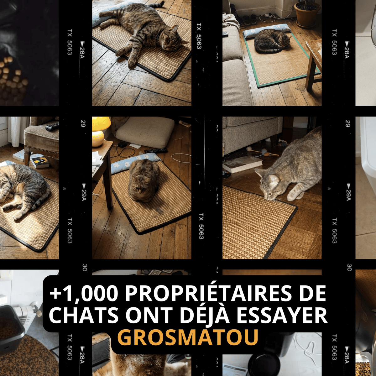 Tapis Rafraîchissant Chat — Confort Été Sans Gel & Antidérapant