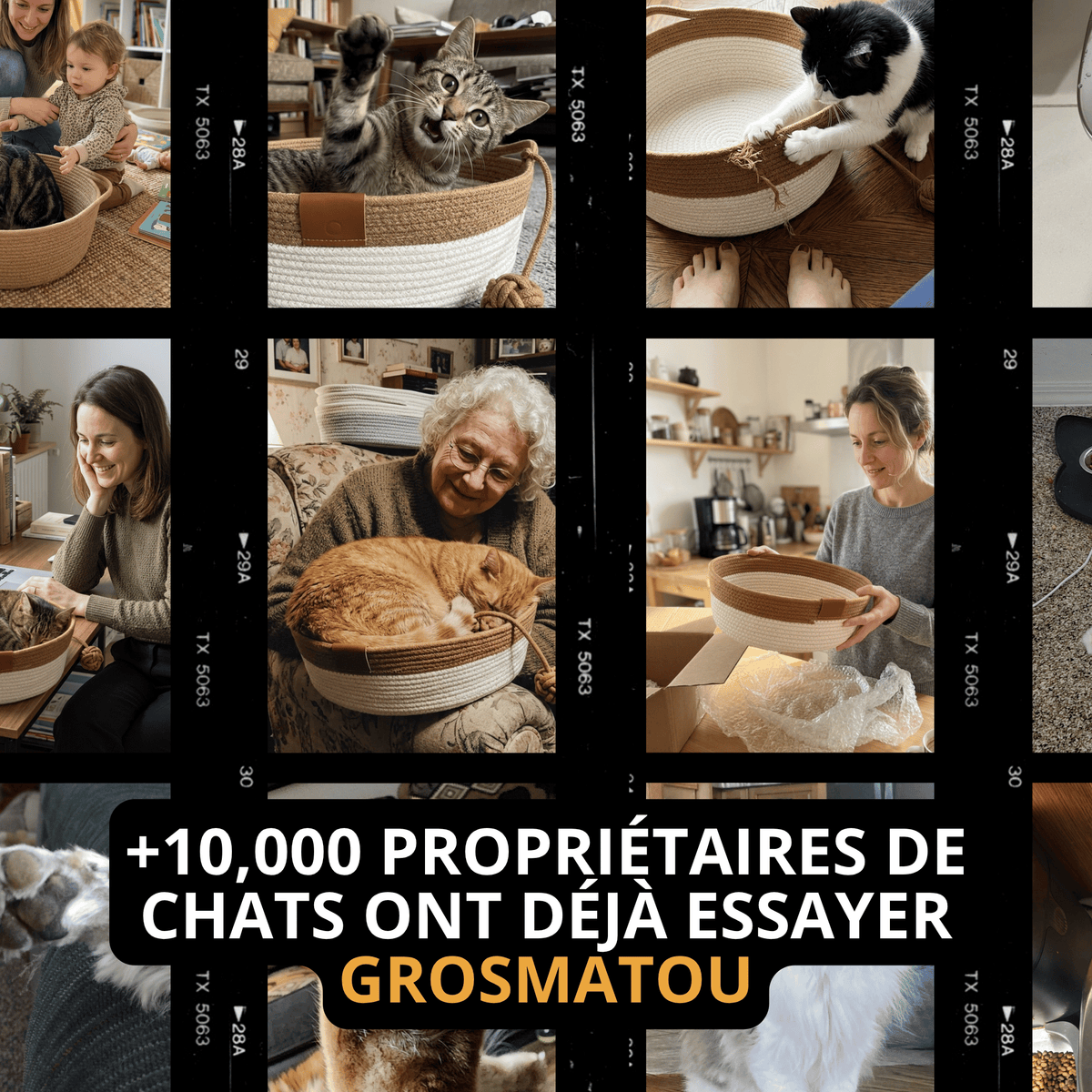 Le Nid du Matou — Lit apaisant et griffoir naturel