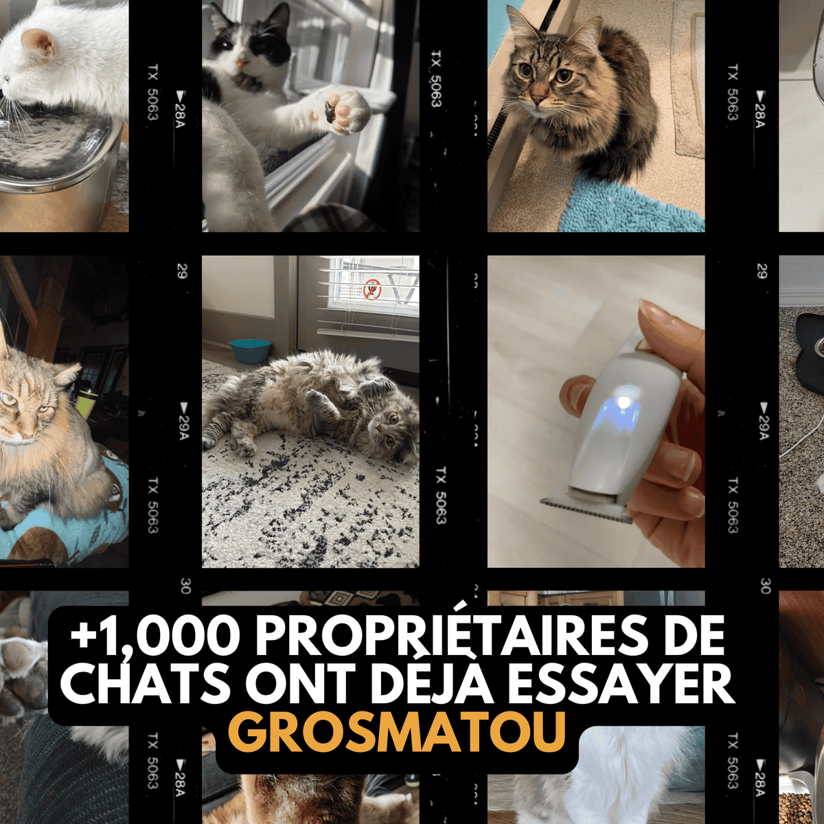 Tondeuse de toilettage GrosMatou — Douceur & Sécurité
