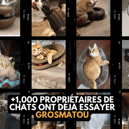 Le Griffoir GrosMatou