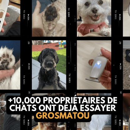 Tondeuse Chien Silencieuse Sans Fil GrosMatou