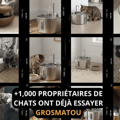 Fontaine Inox GrosMatou — L'eau fraîche et saine, 24h/24.