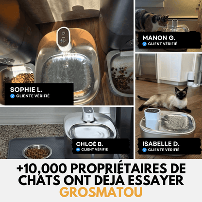 Fontaine Sans Fil 4L Acier Inox Premium