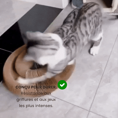 Le Griffoir GrosMatou
