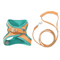 Orange et Bleu sarcelle